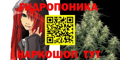 тгк Будённовск