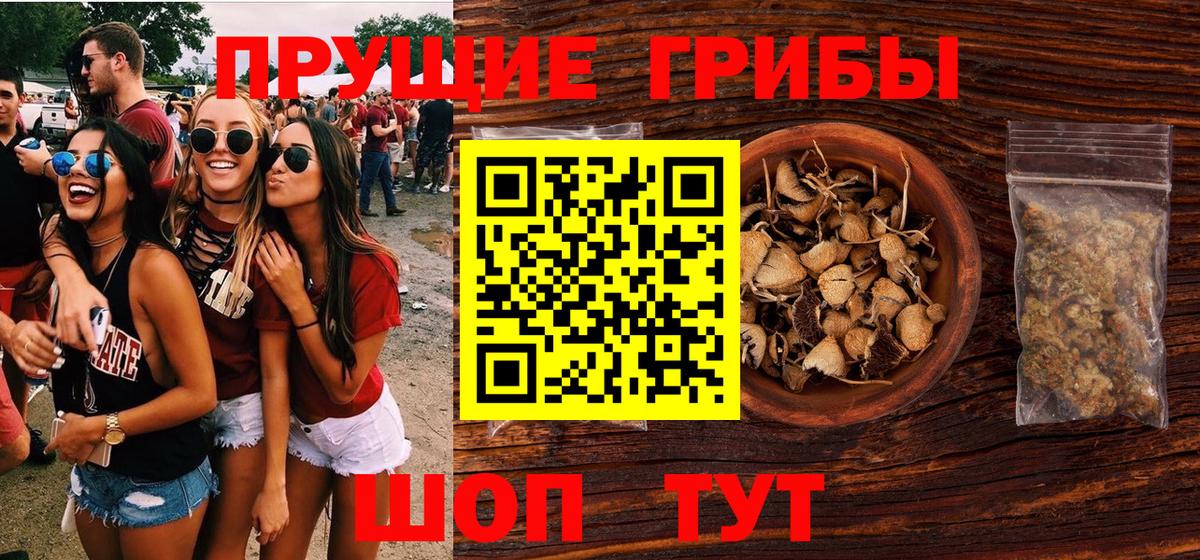 Псилоцибиновые грибы Psilocybine cubensis Барабинск